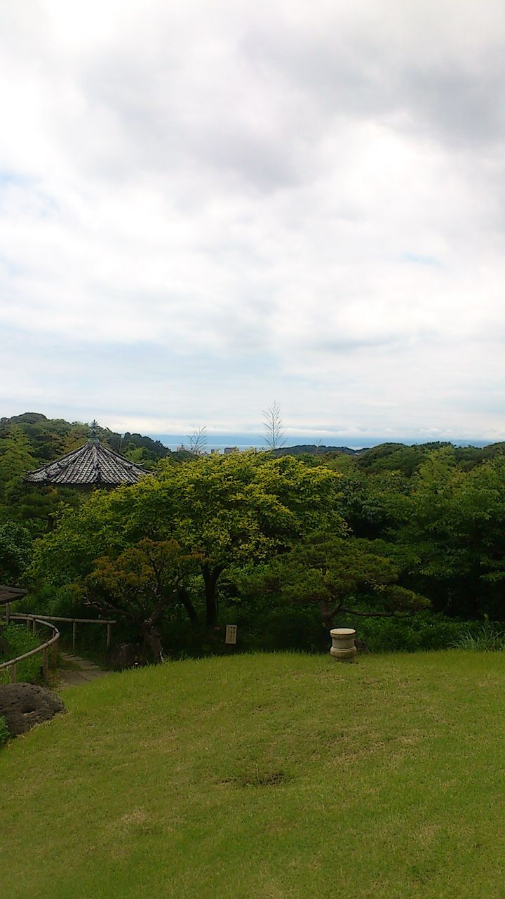 イメージ 9