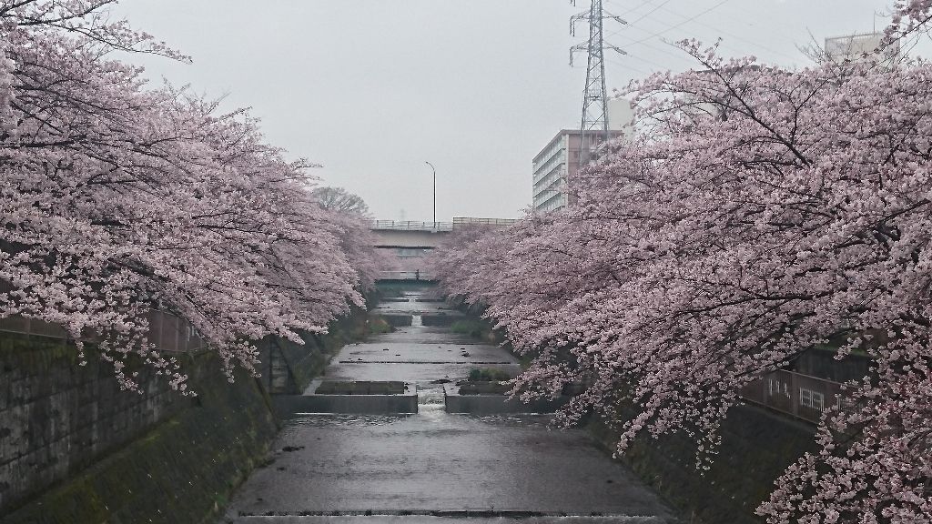 イメージ 11