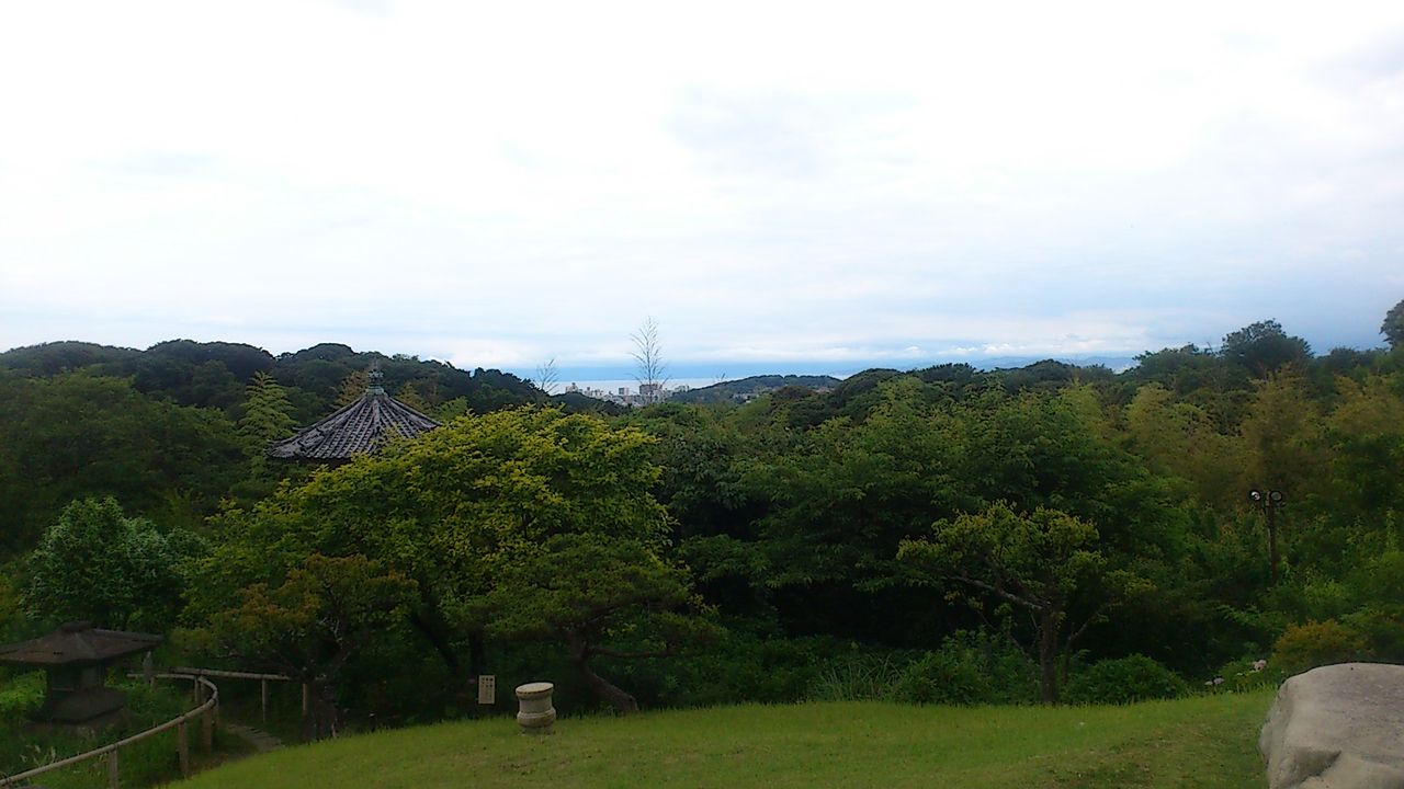 イメージ 11