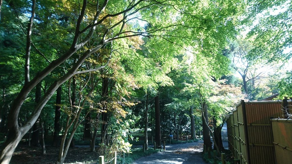 イメージ 29