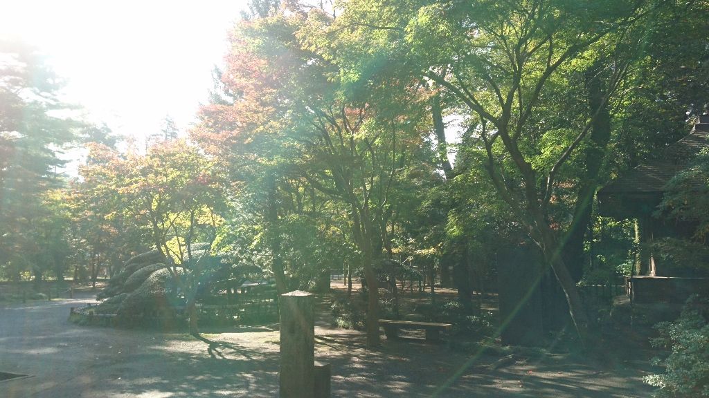 イメージ 12