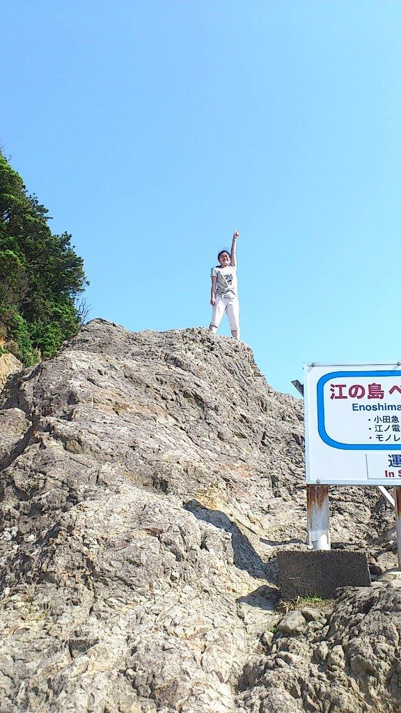 イメージ 8