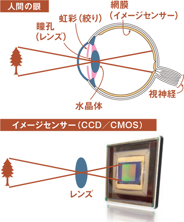 イメージ 29