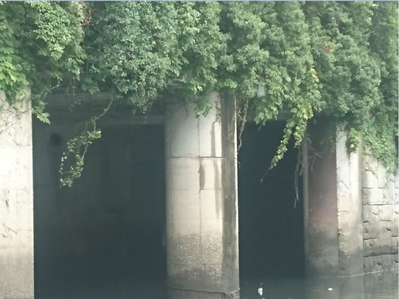image091