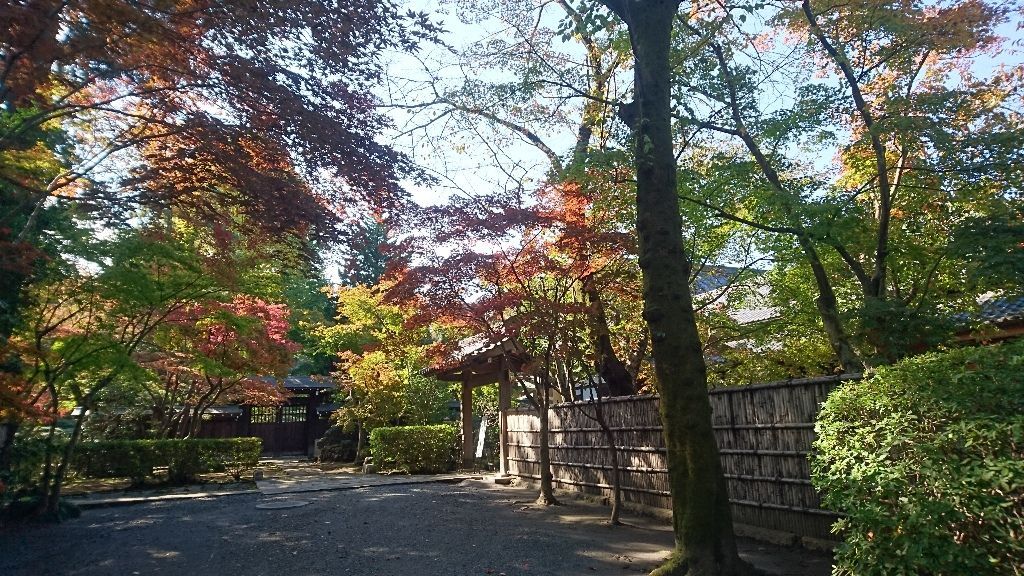 イメージ 62