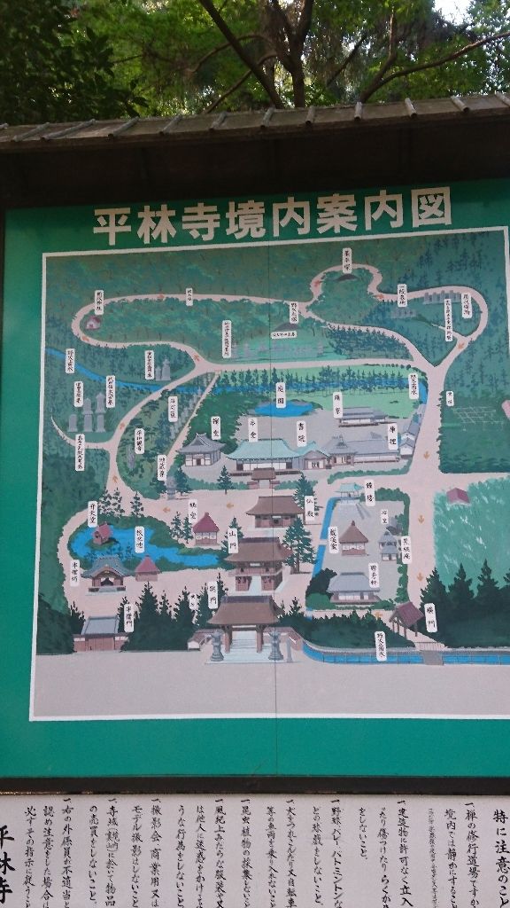 イメージ 5