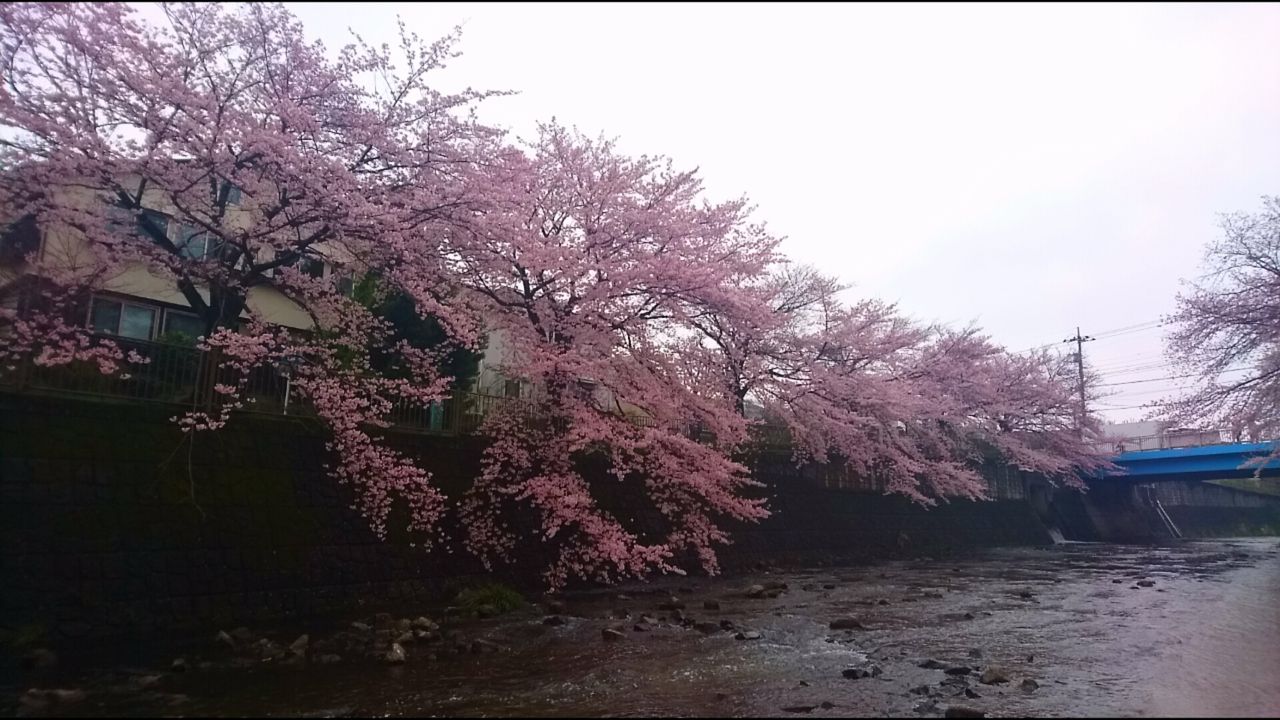 イメージ 28