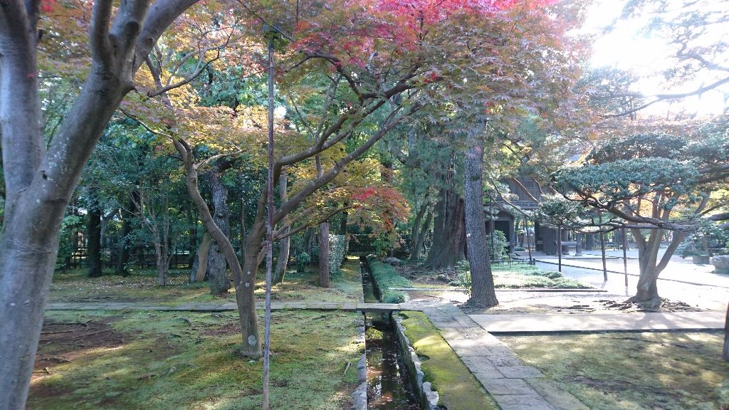 イメージ 16