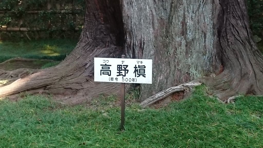 イメージ 10