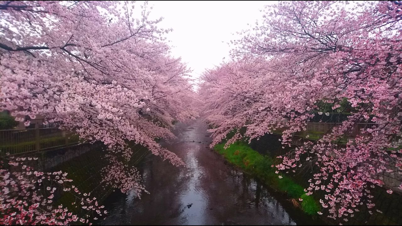 イメージ 24