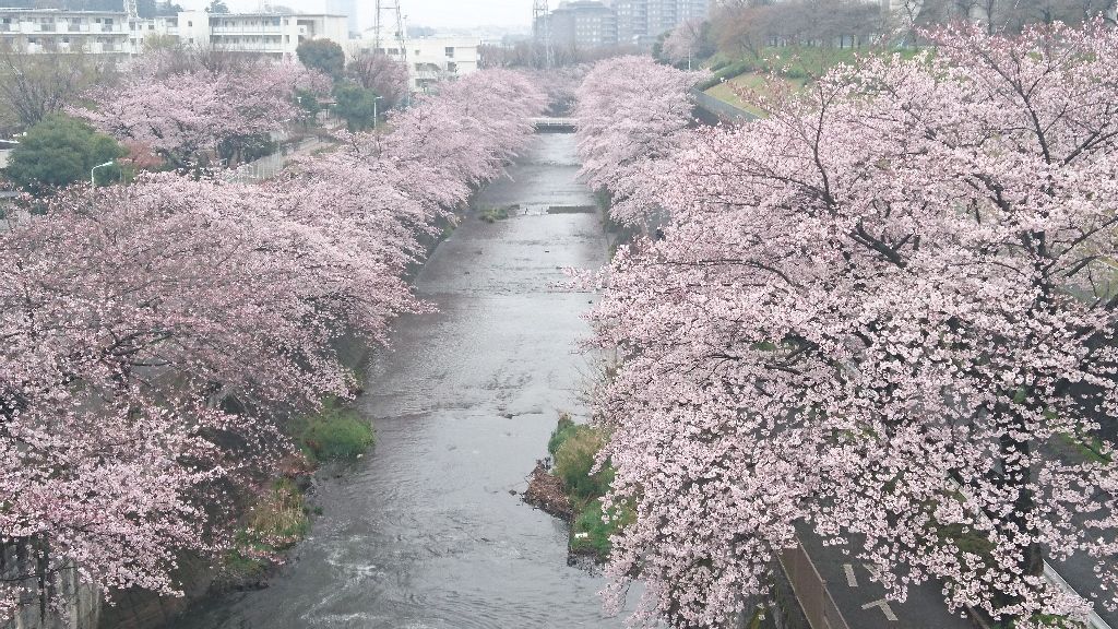 イメージ 19