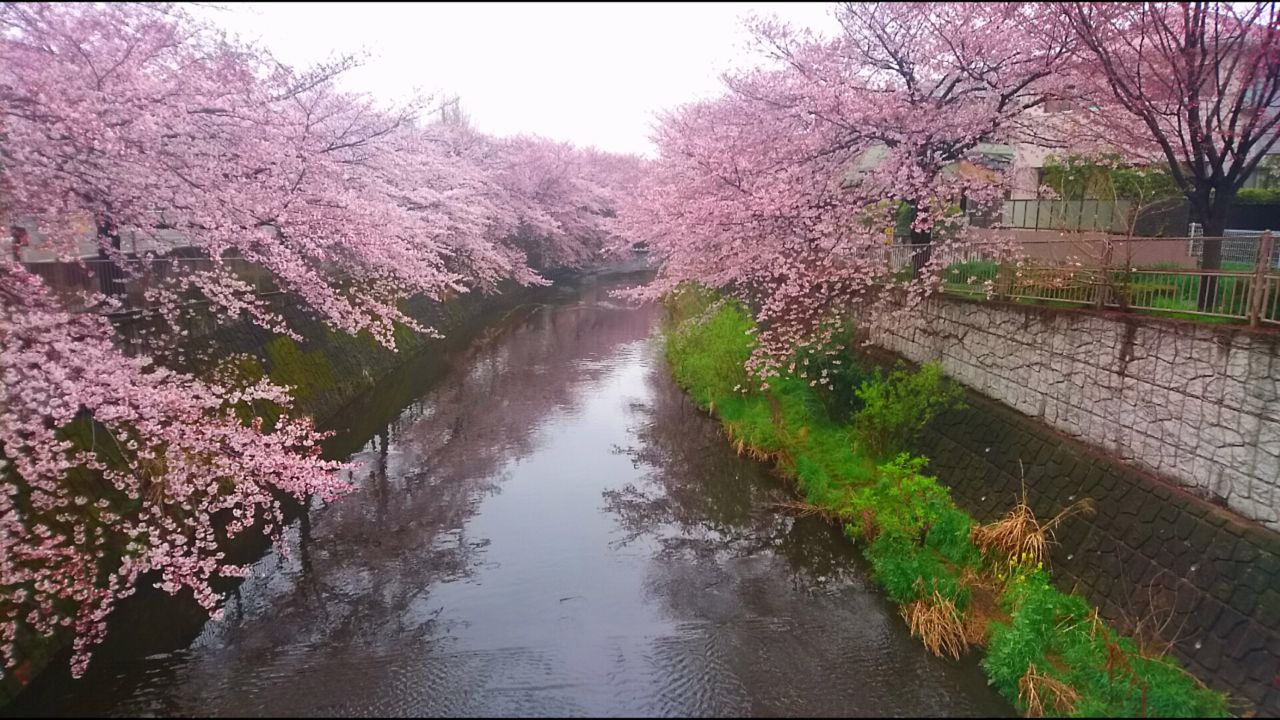 イメージ 26