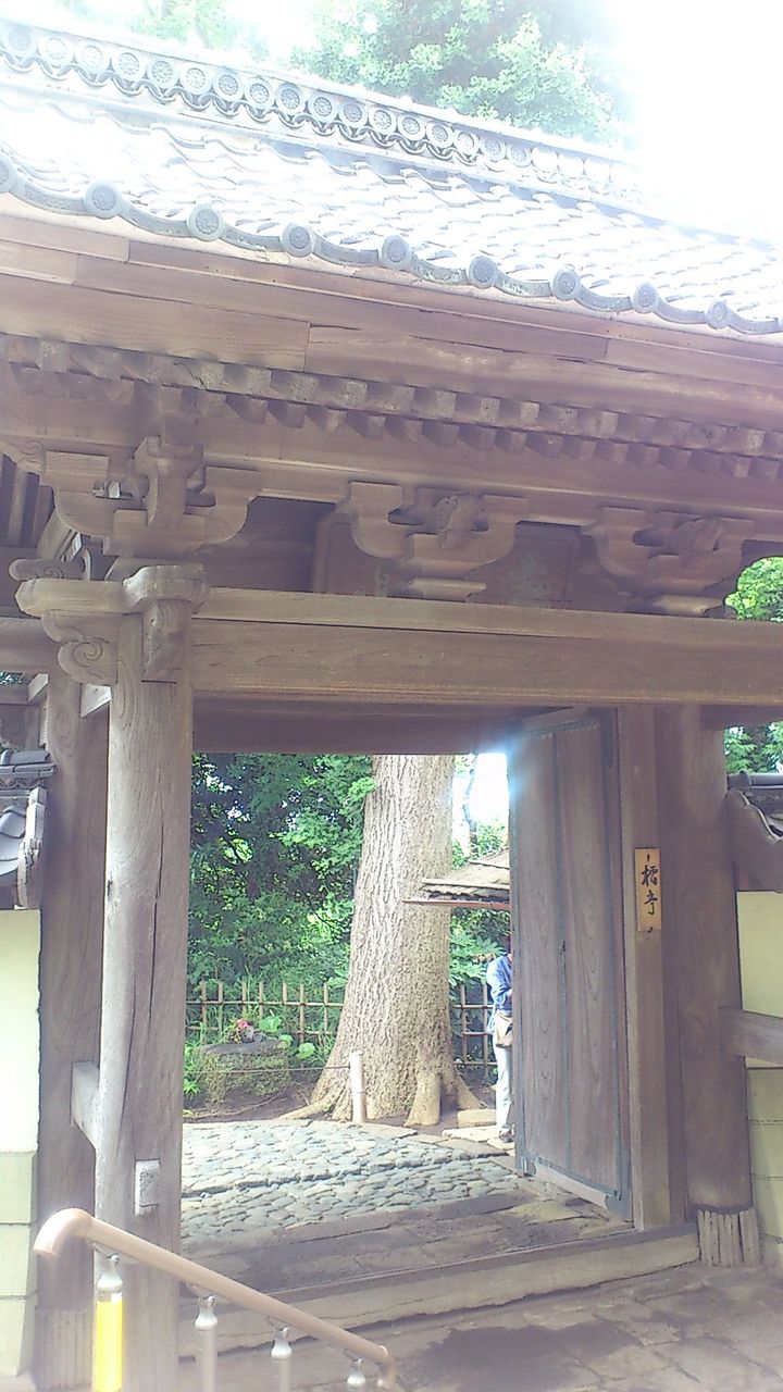イメージ 3