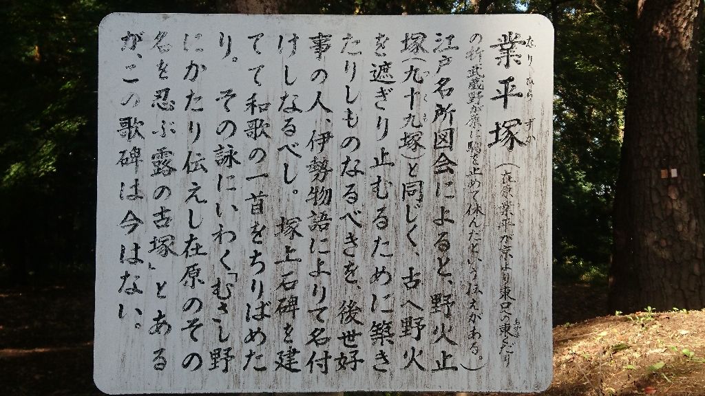 イメージ 45