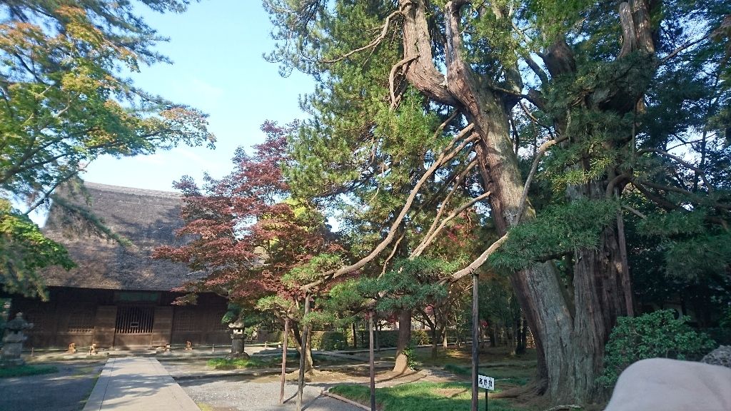 イメージ 9