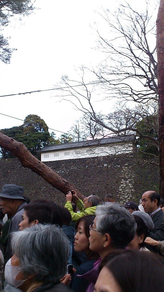 イメージ 13