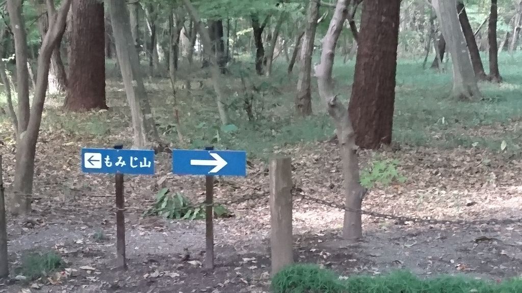 イメージ 40