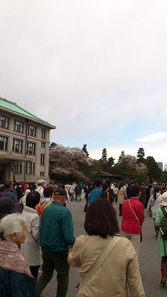 イメージ 6