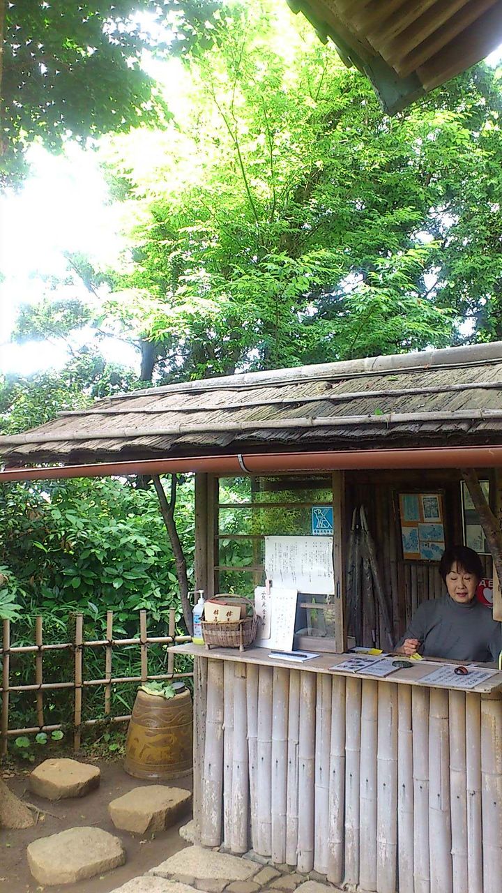イメージ 7