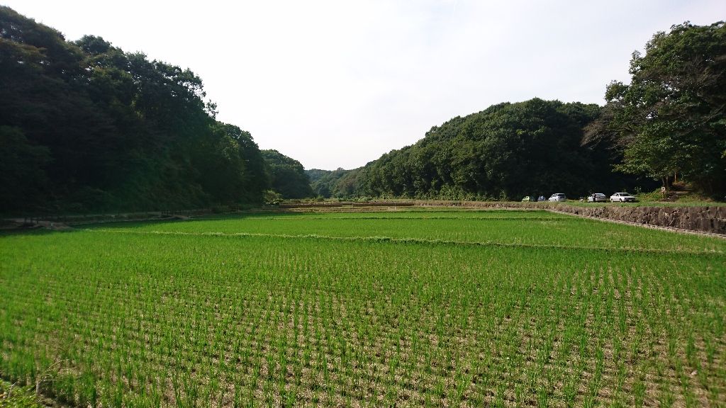 イメージ 49