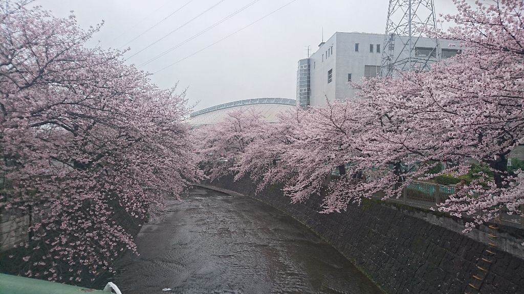 イメージ 8