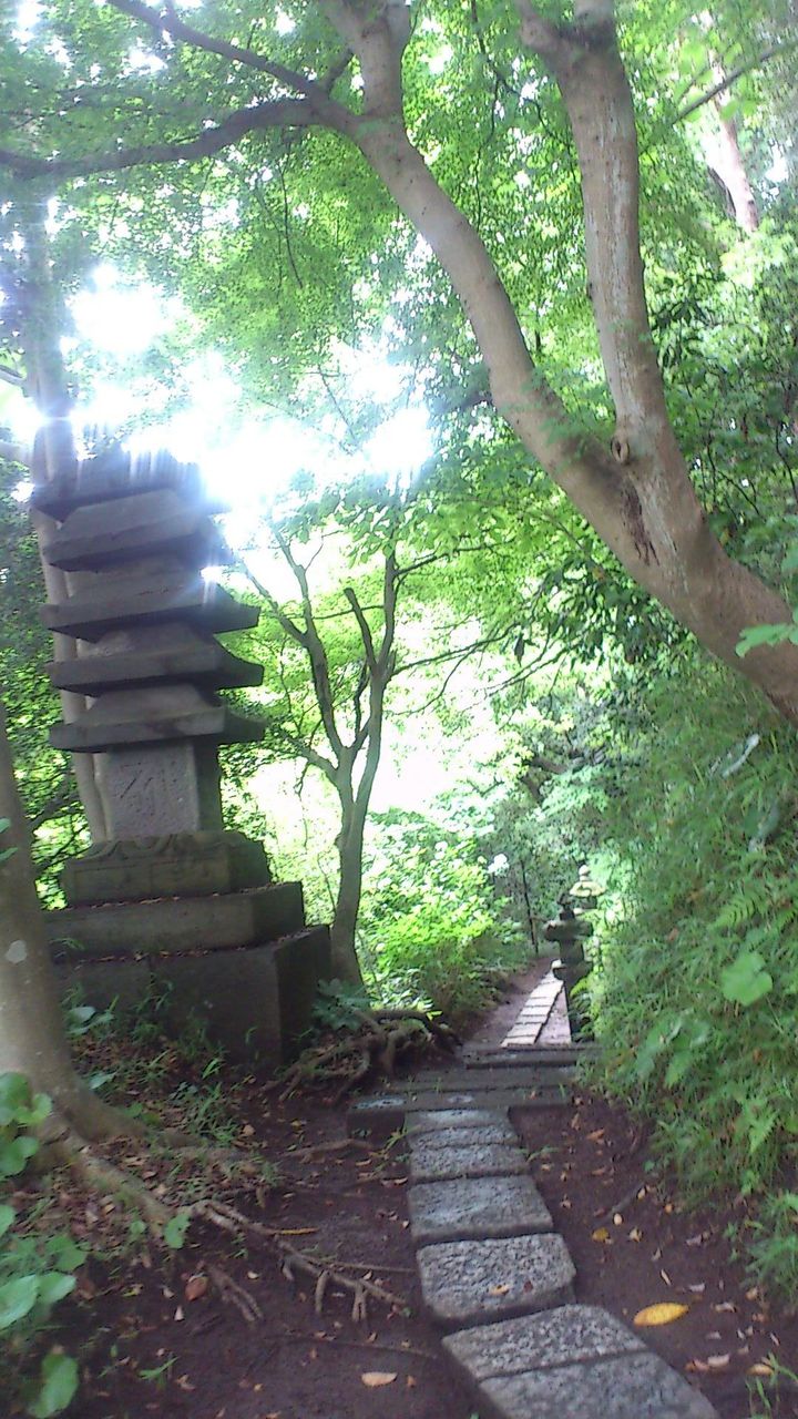 イメージ 16