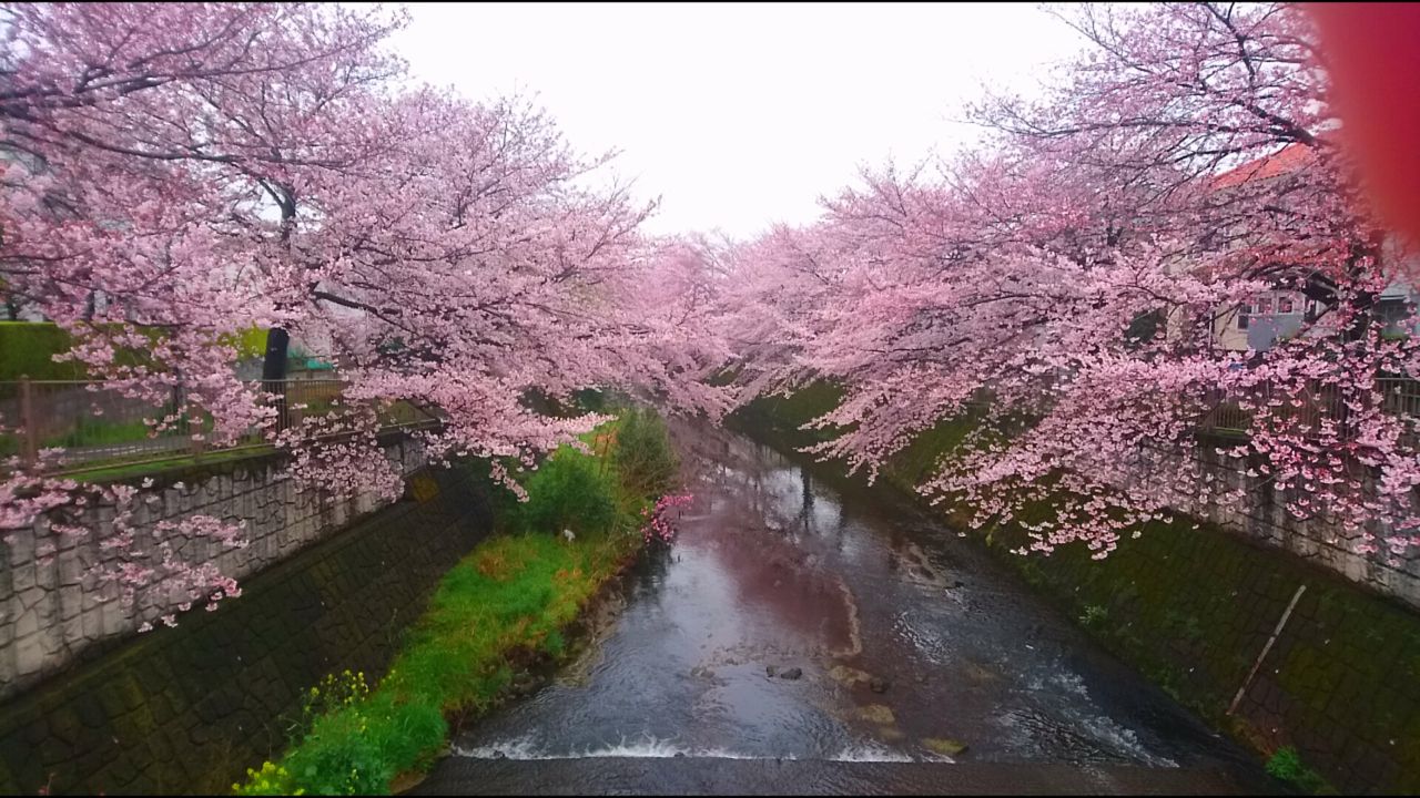 イメージ 25