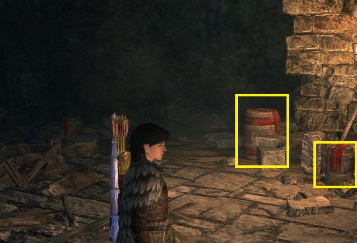 爆弾を使って壁を壊す方法 Ddon攻略情報 ゲーム情報