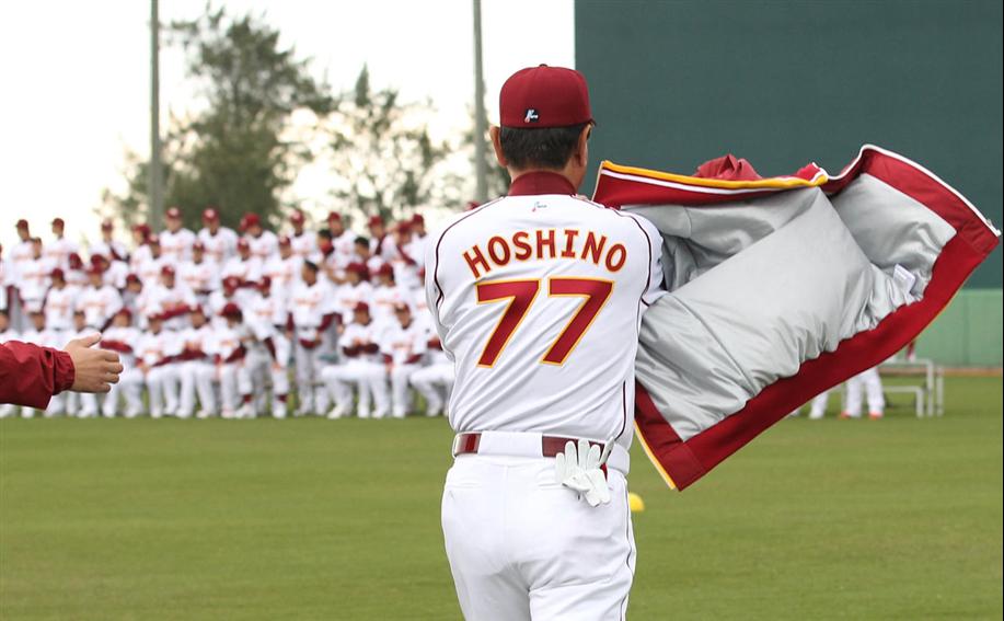 東京大学2013前期理系3 : 怜悧玲瓏 ～高校数学を天空から俯瞰する～