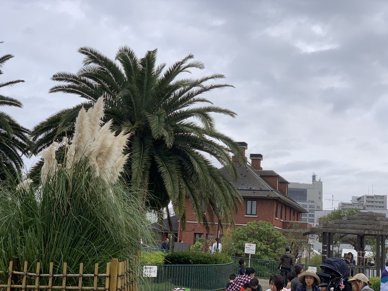 団塊綾瀬ﾈｯﾄﾜｰｸ だんだん 活動報告