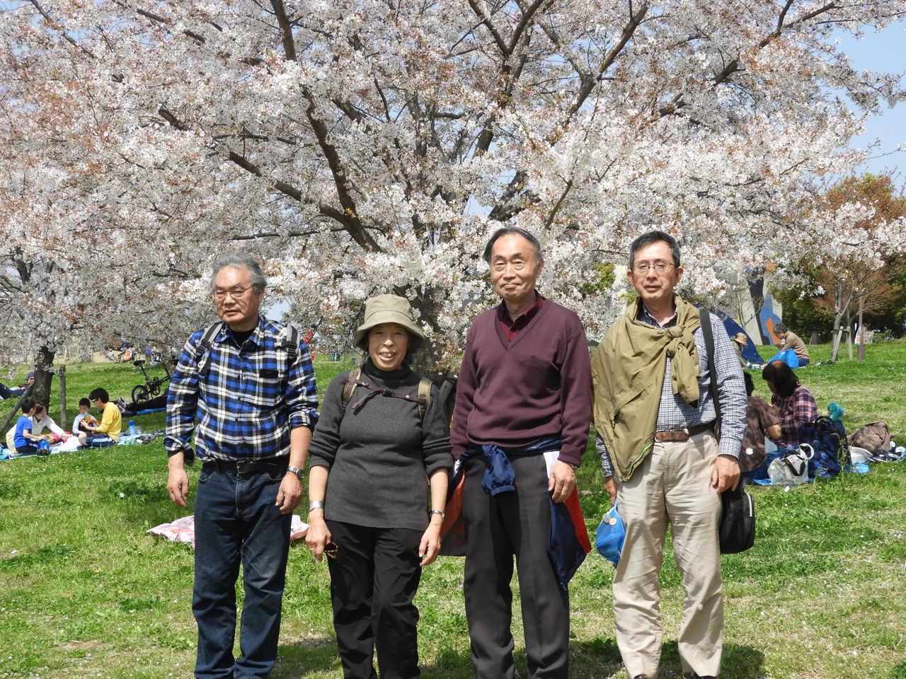 ミニウォーク 舎人公園の花見 団塊綾瀬ネットワーク だんだん ミニウォーク 舎人公園の花見 団塊綾瀬ネットワーク だんだん