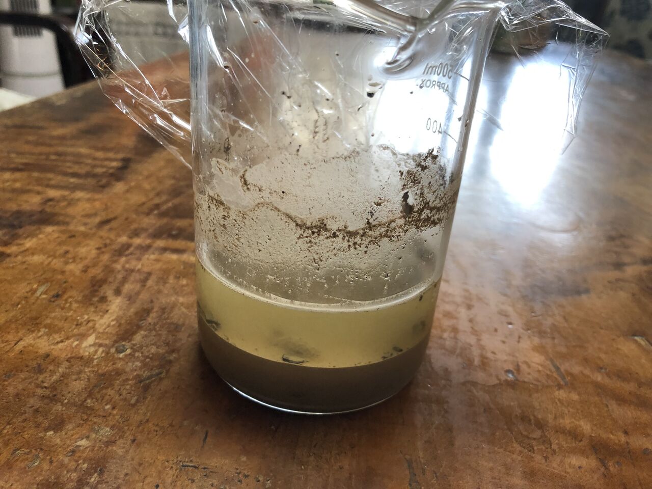 実録 灰から作る古代石鹸その1 Dear Soap