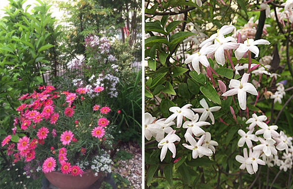 ���㥹�ߥ�