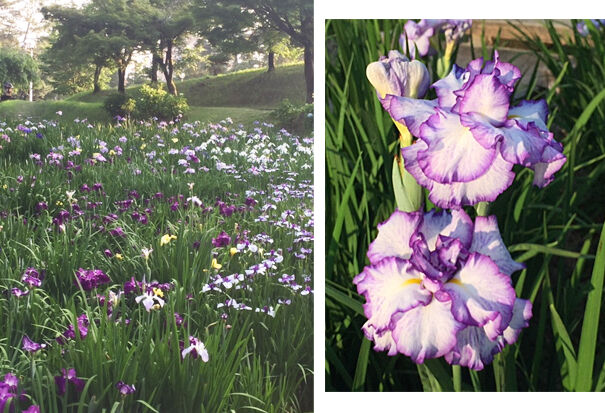 �����ĥХ�