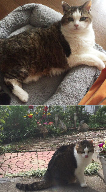 ���ޡ��˳�