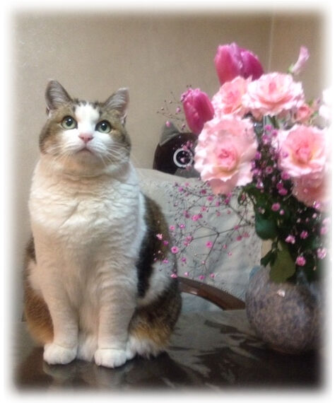 ����ζ���