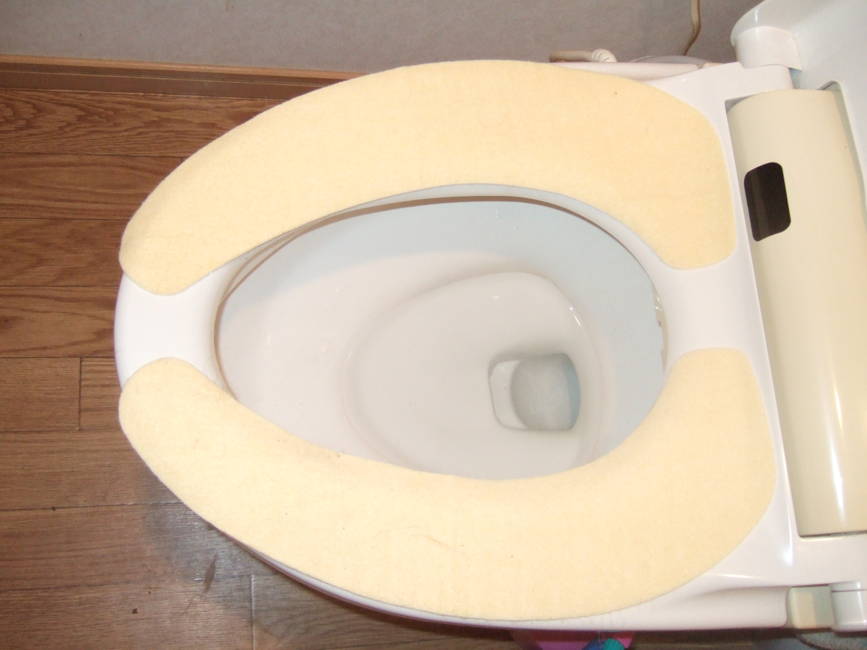 でか猫ジンジャー すごいコミュニケーション能力 トイレ改善 でぶ猫相撲部屋 でか猫ジンジャー すごいコミュニケーション能力 トイレ改善 でぶ猫相撲部屋