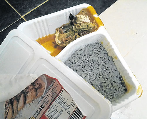 ひえー ゾンビ フードとは良く名付けましたね 冷凍食品のはずが 大腐敗 でぶ猫相撲部屋 ひえー ゾンビ フードとは良く名付けましたね 冷凍食品のはずが 大腐敗 でぶ猫相撲部屋