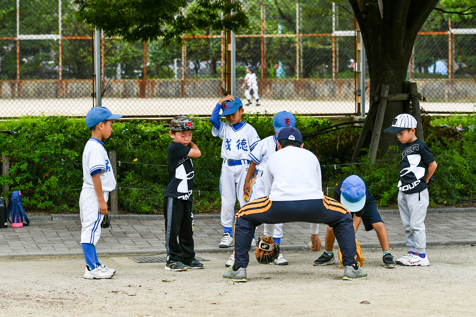 成徳イーグルスのお茶当番とは デブかわ Com フォトブログ