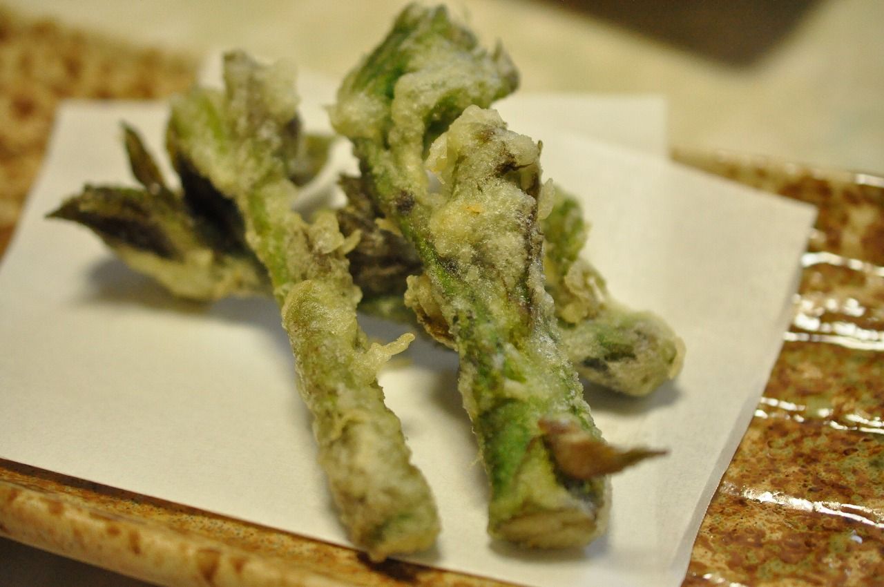 ウドの天ぷら Debutousanのお食事日記 ウドの天ぷら Debutousanのお食事日記