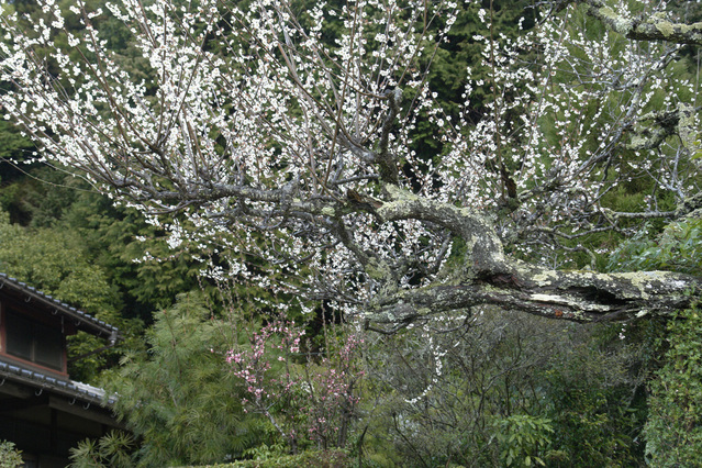 08040403