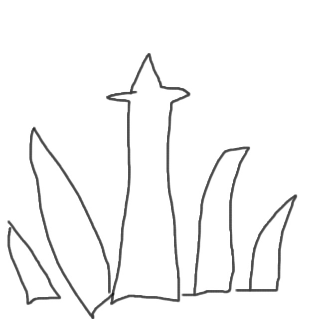 �ѥ�����