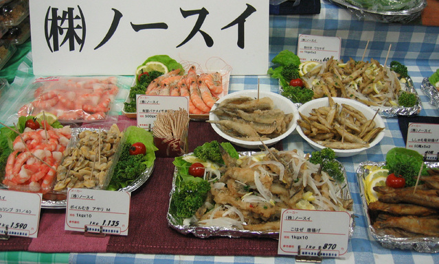 ���ห�ܻ�2008�ơ����Σ�