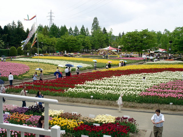 08051004