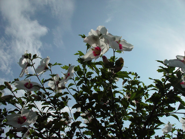 DSC00317