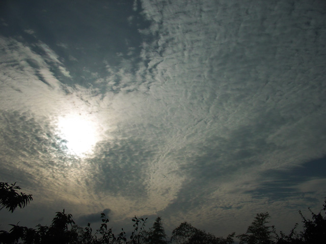 DSC-F77�����ο�����