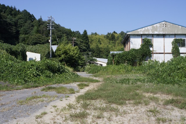 ROOTSʬõι軰ϡͤβƵ٤ߣ