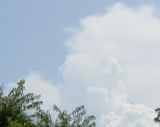 �Ƶ٤ߡ��ƻҳ�ư��