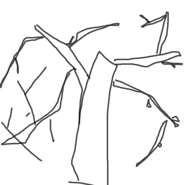 �ѥ�����