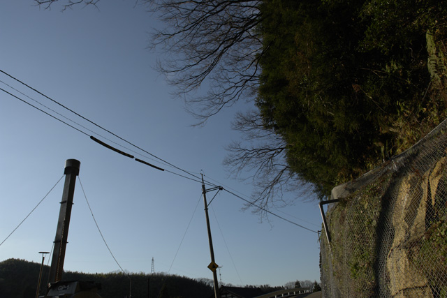 �Ϥ���ǡ��а��ä�ʪã���������������Ǥ���������